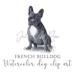 Aquarell Französische Bulldogge Clipart, Hund Portrait, Frenchies Portrait, Aquarell Haustiere, DIY Portrait, Transparenter Hintergrund png, Hund Mama,
