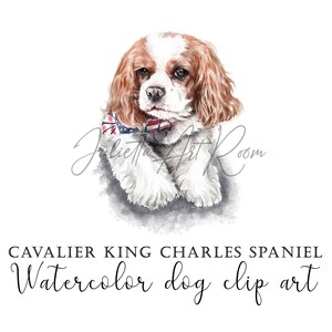 Cavalier King Charles Spaniel aquarel clipart, Spaniel png clipart met transparante achtergrond, DIY portret, Hond clipart, Spaniel moeder
