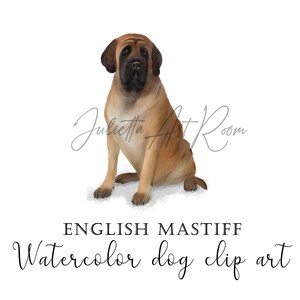 Clipart aquarelle de Mastiff anglais avec fond transparent - Illustration mastiff PNG - Portrait DIY - Portrait de chien personnalisé - Mastiff Maman