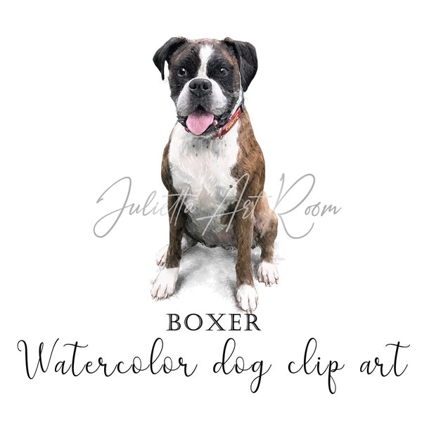 Boxer dog watercolor clipart, Boxer png, DIY portrait, Hand-drawn portrait, Sublimation design, German boxer puppy png, dog illustration