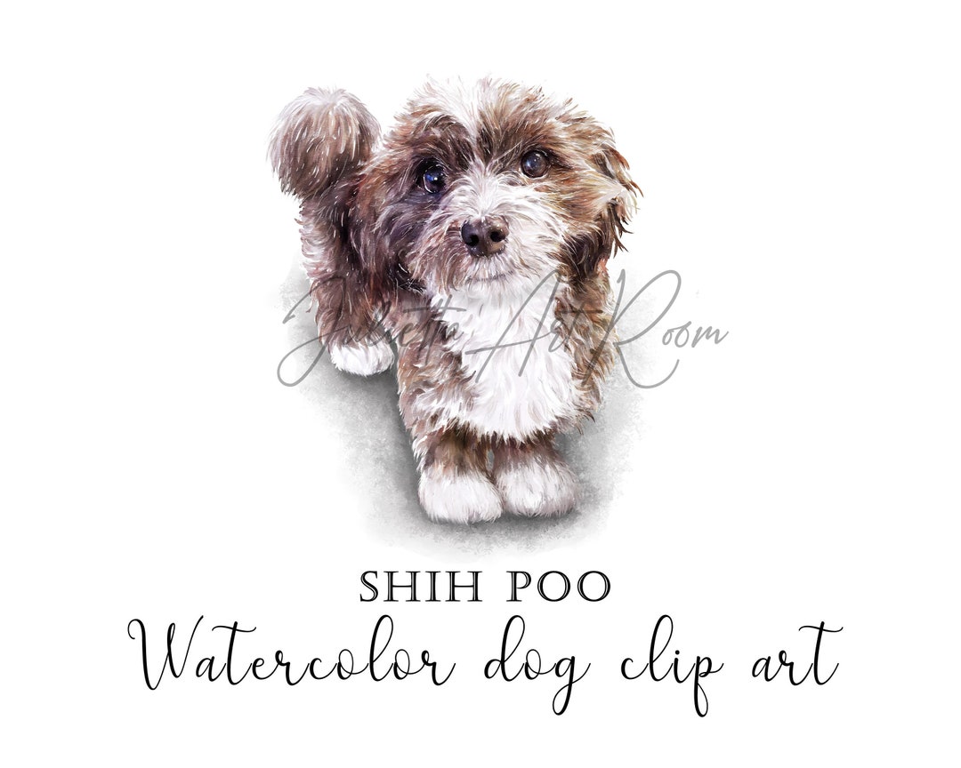 Shih-poo Watercolor Clip Art, Shih-poo Dogs Png, Dog Clipart, DIY ...