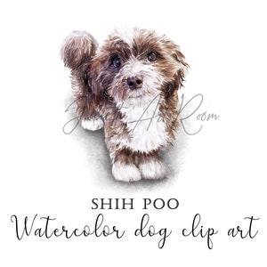Shih-Poo Aquarell Clip art, Shih-Poo Hunde png, Hund Clipart, DIY Portrait, handgezeichnete Kunst, Sublimation Design, Shih-Poo Mama, Hundegesicht