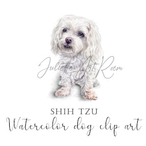 Shih Tzu aquarelle clip art, Shih tzu dogs png, Dog clipart, DIY portrait, hand-drawn art, Sublimation Design, Shih Tzu mom, dog face