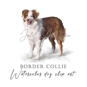Aquarell Border Collie Clipart, Border Collie png, Australischer Schäferhund Clipart, Aussie Clipart png, Hundeliebhaber Geschenk, Hunde mama