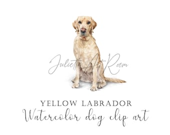 Yellow labrador watercolor png clipart with transparent background - instant download digital art - personal & commercial use - DIY portrait