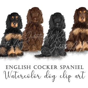 Clipart aquarelle English Cocker Spaniel, Springer Spaniel PNG, Peint à la main, Conception de sublimation, Portrait DIY, Maman de chien, Clipart de chien