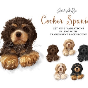 Watercolor Cocker Spaniel Clipart, English cocker png, Sublimation Design, Hand painted, Dog Clipart, American Cocker Spaniel, Dog mom