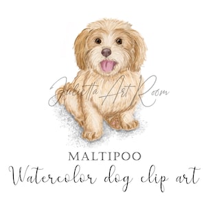 Watercolor Maltipoo Dog Clipart, Watercolor Maltese png, Maltese Puppy, Dog portrait, Cockapoo -Cavapoo - Maltipoo digital art, DIY portrait