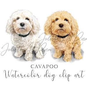 Cavapoo aquarel png clipart - Cockapoo png - Poedel Mix clipart - DIY portret - Poedels portret - Sublimatie Ontwerp - Hondenportret