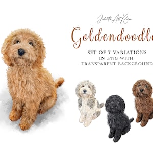 Goldendoodle watercolor dog clipart, Labradoodle png illustration, Poodle Mix clipart, DIY portrait, Poodles portrait, Dog portrait, Dog mom