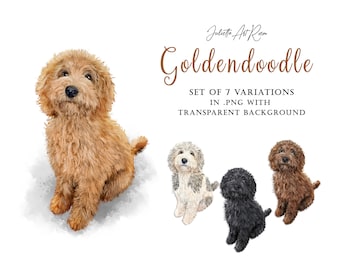 Goldendoodle Watercolor Clipart: Poodle Mix PNG Illustration (Digital Download)