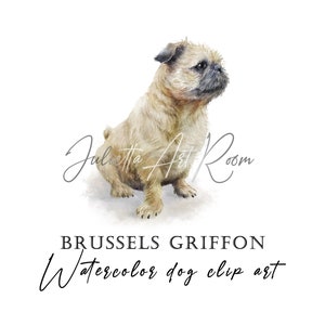 Brussels Griffon acquerello png clipart con sfondo trasparente - instant download arte digitale - uso personale e commerciale - ritratto fai da te