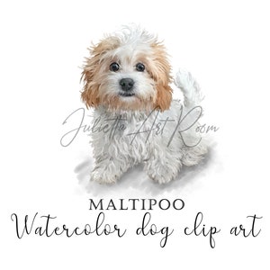 Watercolor Maltipoo Dog Clipart, Watercolor Maltese png, Maltese Puppy, Dog portrait, Cockapoo -Cavapoo - Maltipoo digital art, DIY portrait