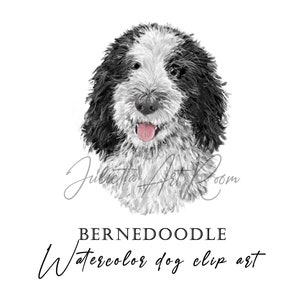 Bernedoodle watercolor dog clipart, Labradoodle png illustration, Poodle Mix clipart, DIY portrait, Poodles portrait, Goldendoodle, Dog mom