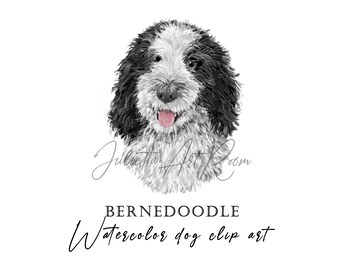Bernedoodle Watercolor Clipart: Dog Portrait PNG (Digital Download)