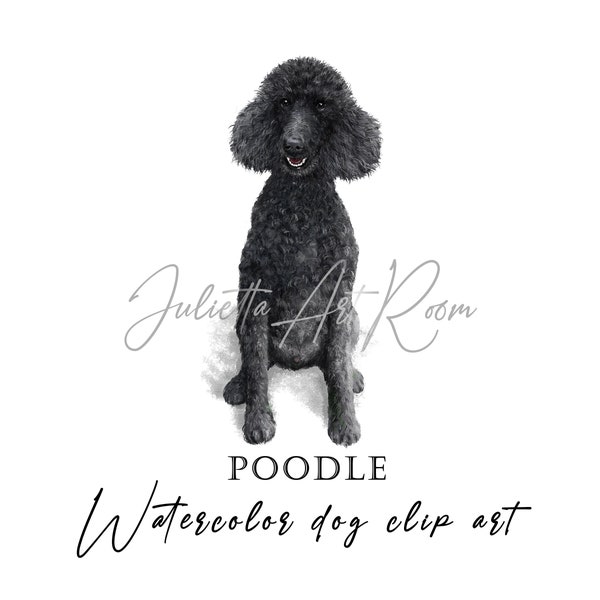 Poodle watercolor clipart, Sublimation designs, Poodle Mix clipart, Poodle Silhouette, DIY portrait, Labradoodle png, Dog portrait, Dog mom