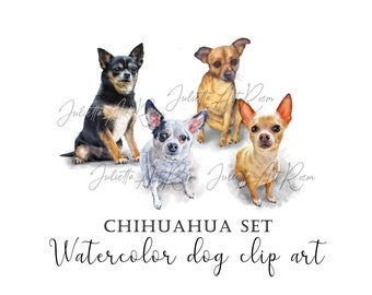 Chihuahua watercolor set clipart, Sublimation design, chihuahua png illustration set, DIY portrait, Chihuahua mix clipart