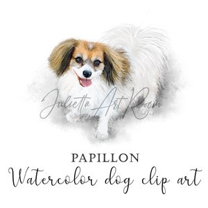 Papillon watercolor png clipart - instant download - Hand-painted dog art - transparent background - Sublimation design - DIY dog portrait