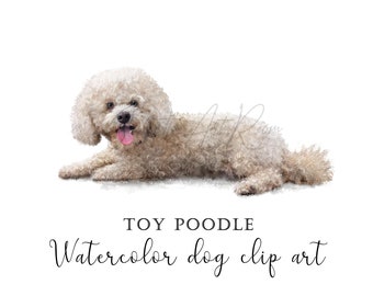 Toy Watercolor Poodle clip art, Mini poodle png, Poodle Png Sublimation Design, Poodle portrait, DIY portrait, Dog Illustration Silhouette