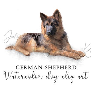 German Shepherd watercolor clipart png - dog sublimation design - Belgian Shepherd art - DIY portrait - Shepherd mom & dad - Dog clipart