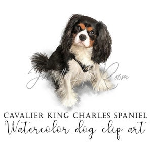 Cavalier King Charles Spaniel aquarel clipart, Spaniel png clipart met transparante achtergrond, DIY portret, Hond clipart, Spaniel moeder