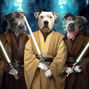 Jedi's-hondenportret, portret van drie huisdieren, verjaardagscadeau, Jedi Wars-kattenportret, opvrolijken cadeau, cartoonportret, cadeau huisdierverlies, hondenmonument