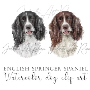 Englische Springer Spaniel Aquarell Clipart, Cocker Spaniel PNG, Handgemalt, Sublimation Design, DIY Portrait, Hund Mama, Hund Clipart