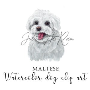Watercolor maltese clipart - Maltese puppy nursery design - Watercolor havanese Dog Portrait - Hand Drawn sublimation design - Maltese mom