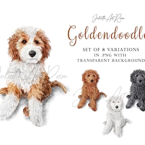 Goldendoodle Aquarell Hund Clipart, Labradoodle png Illustration, Pudel Mix Clipart, DIY Porträt, Pudel Porträt, Hundeporträt, Hundemama
