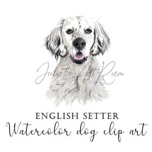 Engelse Setter aquarel clipart, Png Sublimation Design, Setter portret, Engelse cocker spaniel, Hondenliefhebber cadeau, INSTANT DOWNLOAD