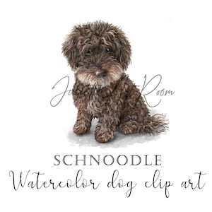 Schnoodle Aquarell Clipart mit transparentem Hintergrund - Schnoodle png - lost of loved - Sublimation Design - Haustier Erinnerung - Karten Design