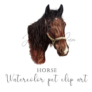 Clipart cheval aquarelle, illustration d'animal, autocollants de ferme, design par sublimation, cadeau pour les amateurs de chevaux, conception de cartes, portrait de cheval dessiné à la main