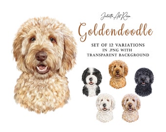 Goldendoodle Aquarell Hund Clipart, Labradoodle png Illustration, Pudel Mix Clipart, DIY Porträt, Pudel Porträt, Hundeporträt, Hundemama