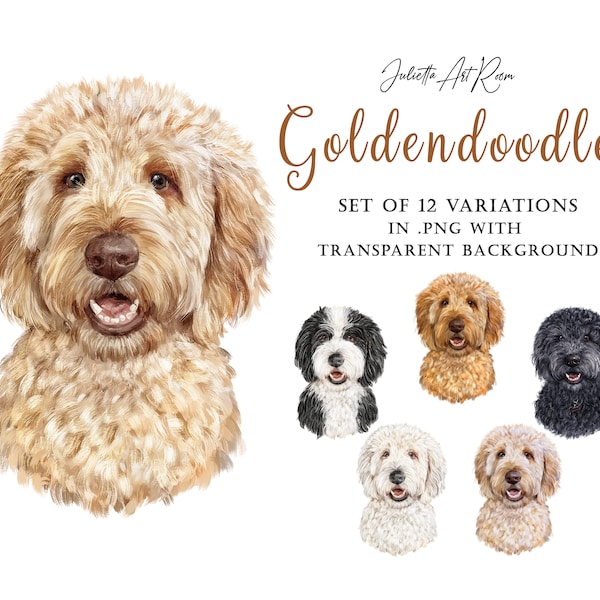 Goldendoodle watercolor dog clipart, Labradoodle png illustration, Poodle Mix clipart, DIY portrait, Poodles portrait, Dog portrait, Dog mom