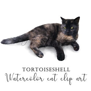 Clipart aquarelle de chat en écaille de tortue avec fond transparent, Écaille de tortue png art, portrait de chat, Design de sublimation, cadeau amoureux des chats