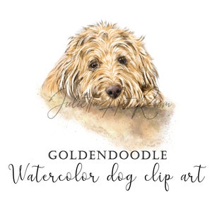 Labradoodle png Illustration, Goldendoodle Aquarell Hund Clipart, Pudel Mix Clipart, DIY Portrait, Pudel Portrait, Hund Portrait, Hund Mama