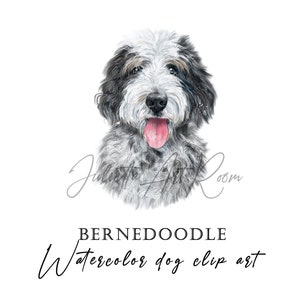 Bernedoodle acuarela PNG clipart - Perro doodle clipart - Arte digital de descarga instantánea - Retrato DIY - Uso personal y comercial - Mamá de perro