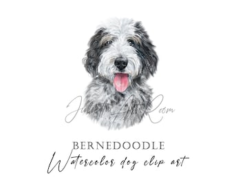 May include: Watercolor painting of a Bernedoodle dog with black and white fur. The dog is looking directly at the viewer with its tongue sticking out. The painting is titled "Bernedoodle Watercolor Dog Clip Art".
