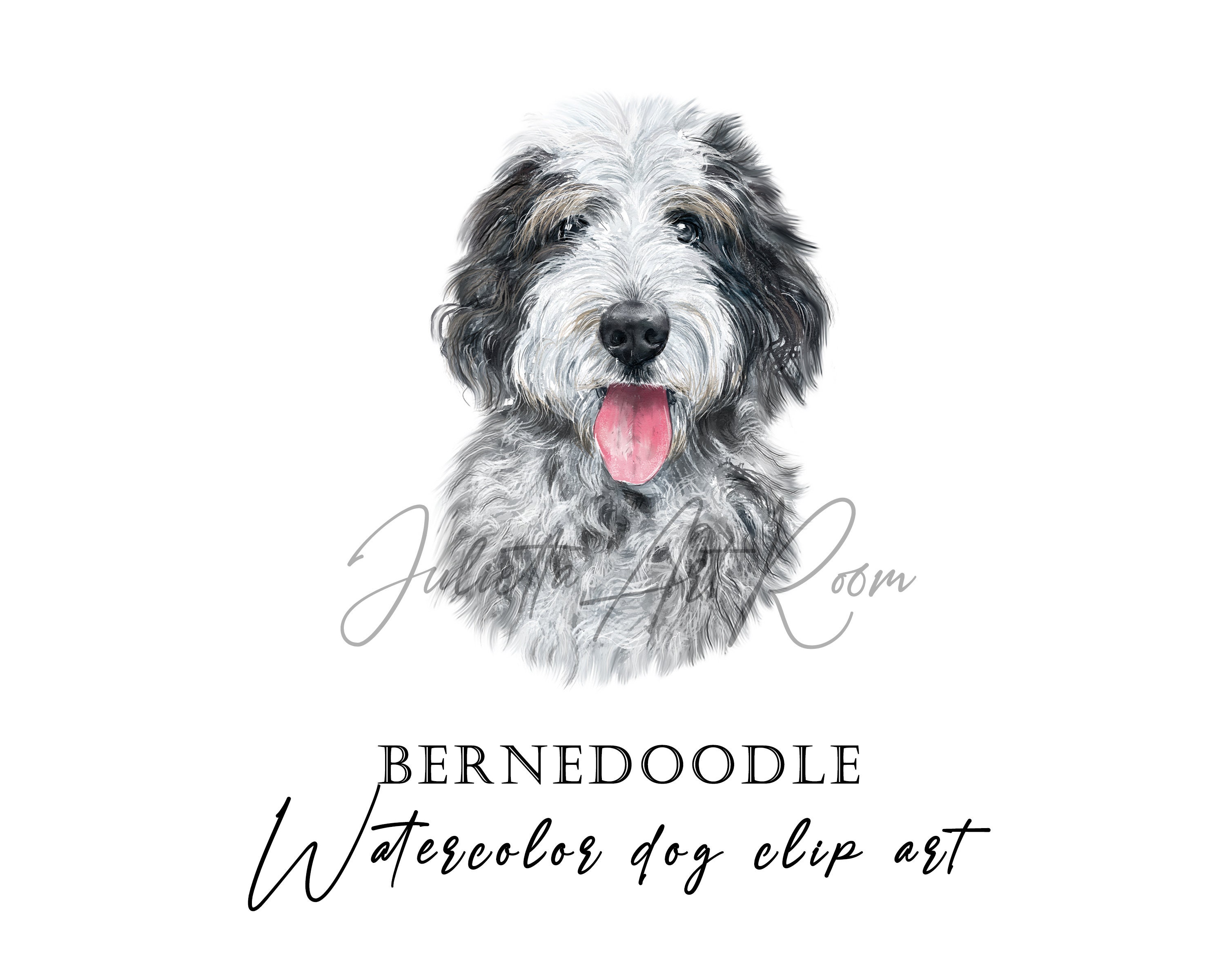 Bernedoodle Watercolor Png Clipart Doodle Dog Clipart Etsy