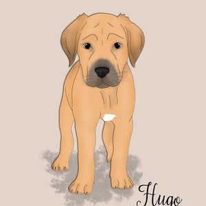 Custom dog portrait, Loss of Loved, Christmas gift, Cheer up gift, Pet portrait, custom caricature, Pet Loss Gift, Pet memorial, dog mom image 2