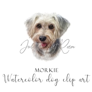 Watercolor Morkie Dog Clipart, Watercolor Maltese png, Morkie Puppy, Dog portrait, Cockapoo -Cavapoo - Maltipoo digital art, DIY portrait