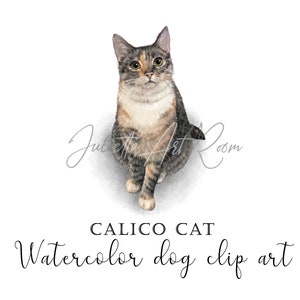 Clipart de gato Calico con fondo transparente - Ilustración dibujada a mano - Clipart de gato de acuarela - Gráfico de lovely kitten - Mamá gato