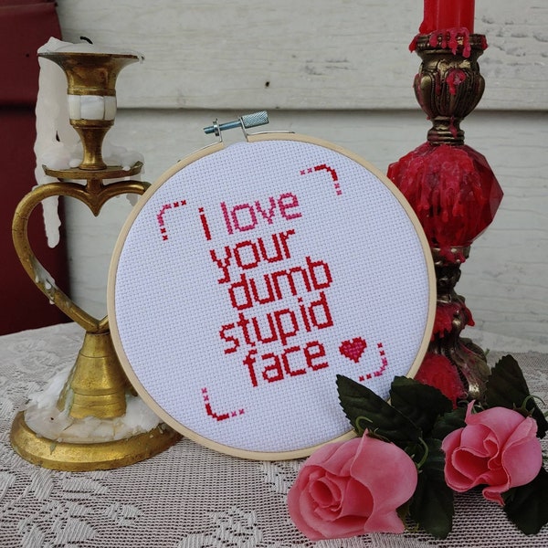 Finished cross stitch, I love you, gift for him, gift for her, needlepoint, quote, home decor, funny, subversive, humor, valentine's day
