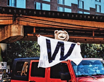 Cubs World Series Parade