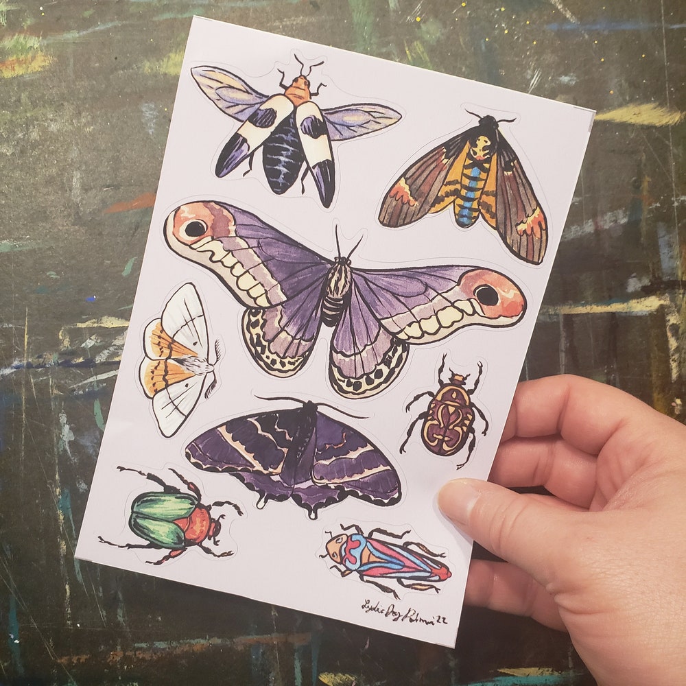 Sticker sheet moths beetles