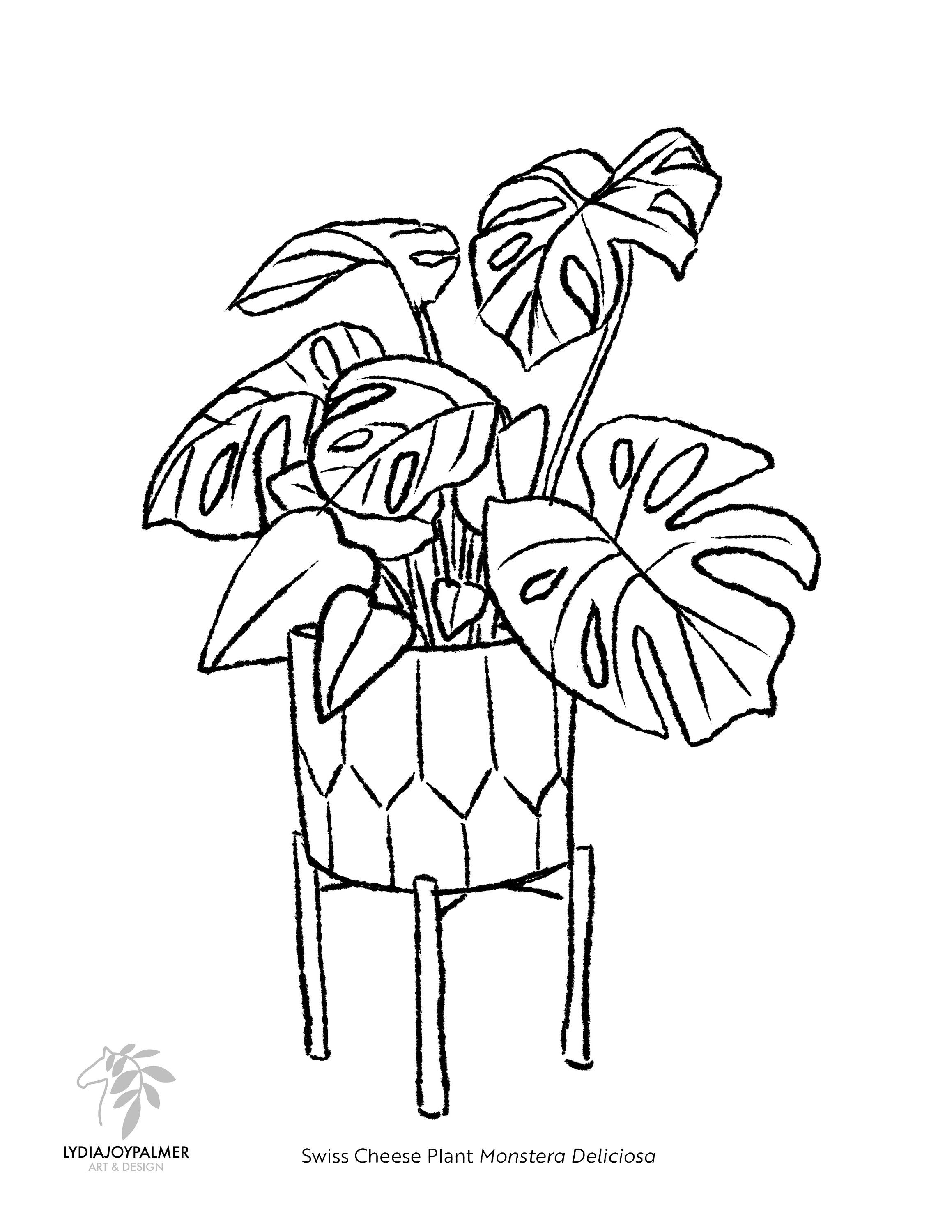 Plant Colouring Book DOWNLOAD 3 Free Pages Etsy