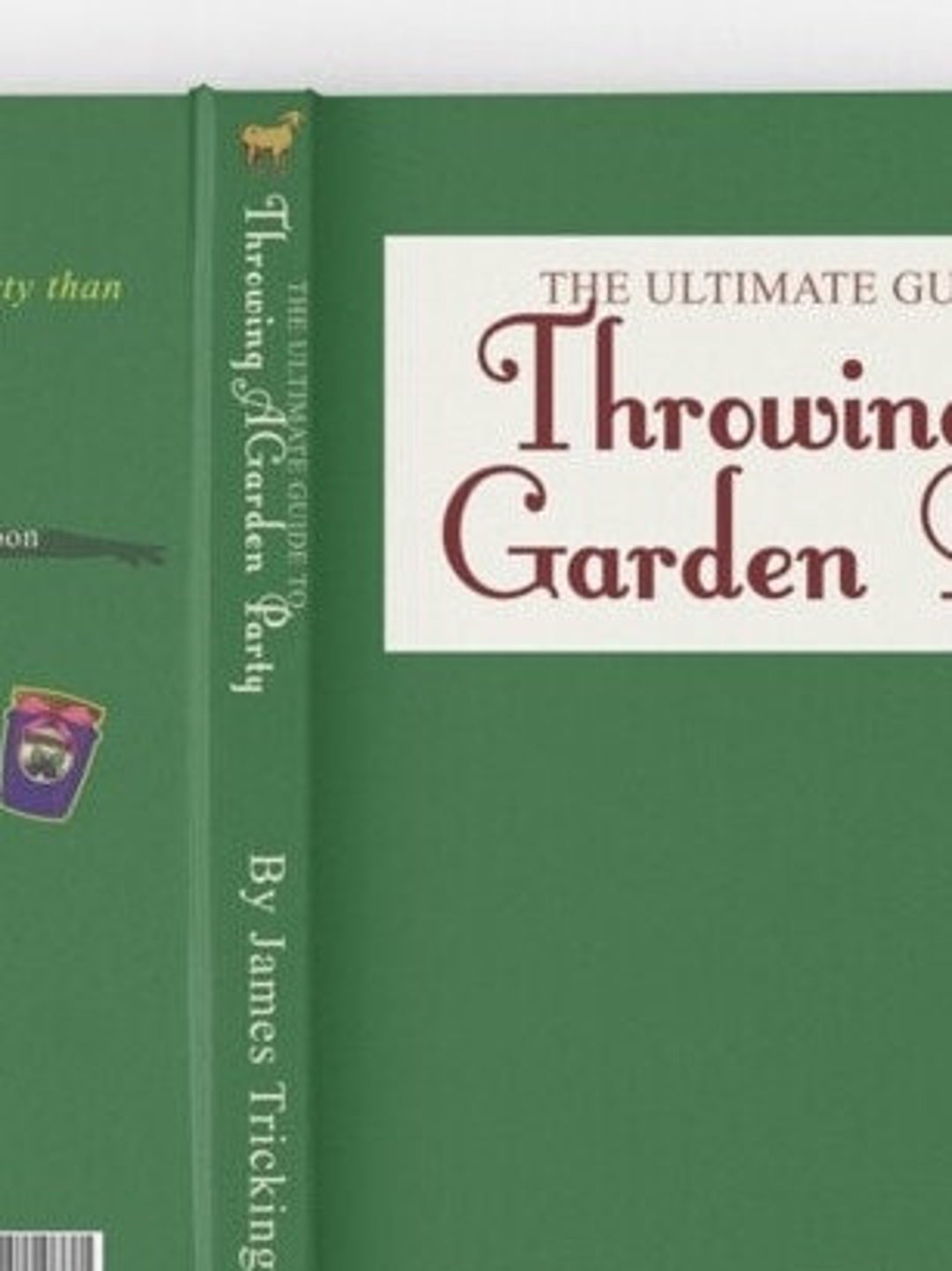 The Office the Ultimate Guide to Throwing a Garden Party by James Trickington Etsy