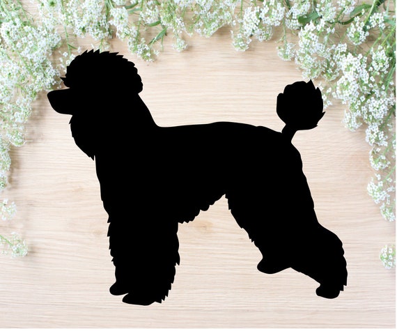 Download Poodle Dog Svg Poodle Cut File Poodle Dxf Poodle Mom Etsy