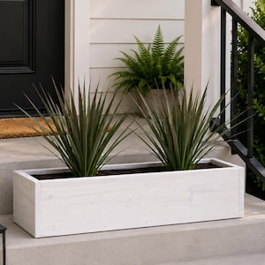 May include: A rectangular white wooden planter box filled with soil and two spiky green and burgundy plants. A fern in a gray pot is visible in the background. The planter sits on a concrete step near a black door and railing.