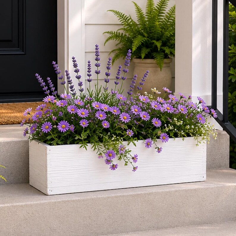 May include: A rectangular white wooden planter box filled with vibrant purple flowers and green foliage. The planter is on a concrete step, with a black door and a fern in a pot in the background.